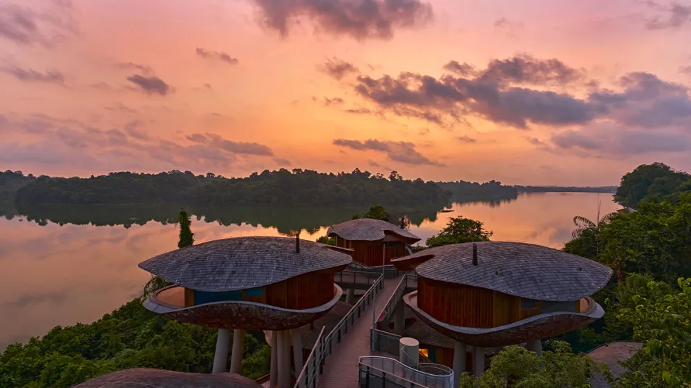 New Hotel Is Nestled in a Lush Rainforest in Singapore